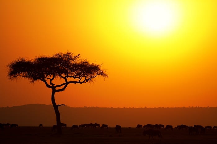 Kenya view 1