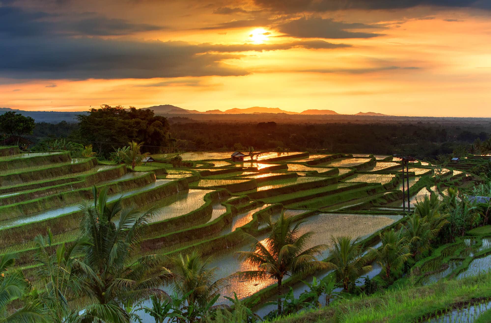 Bali