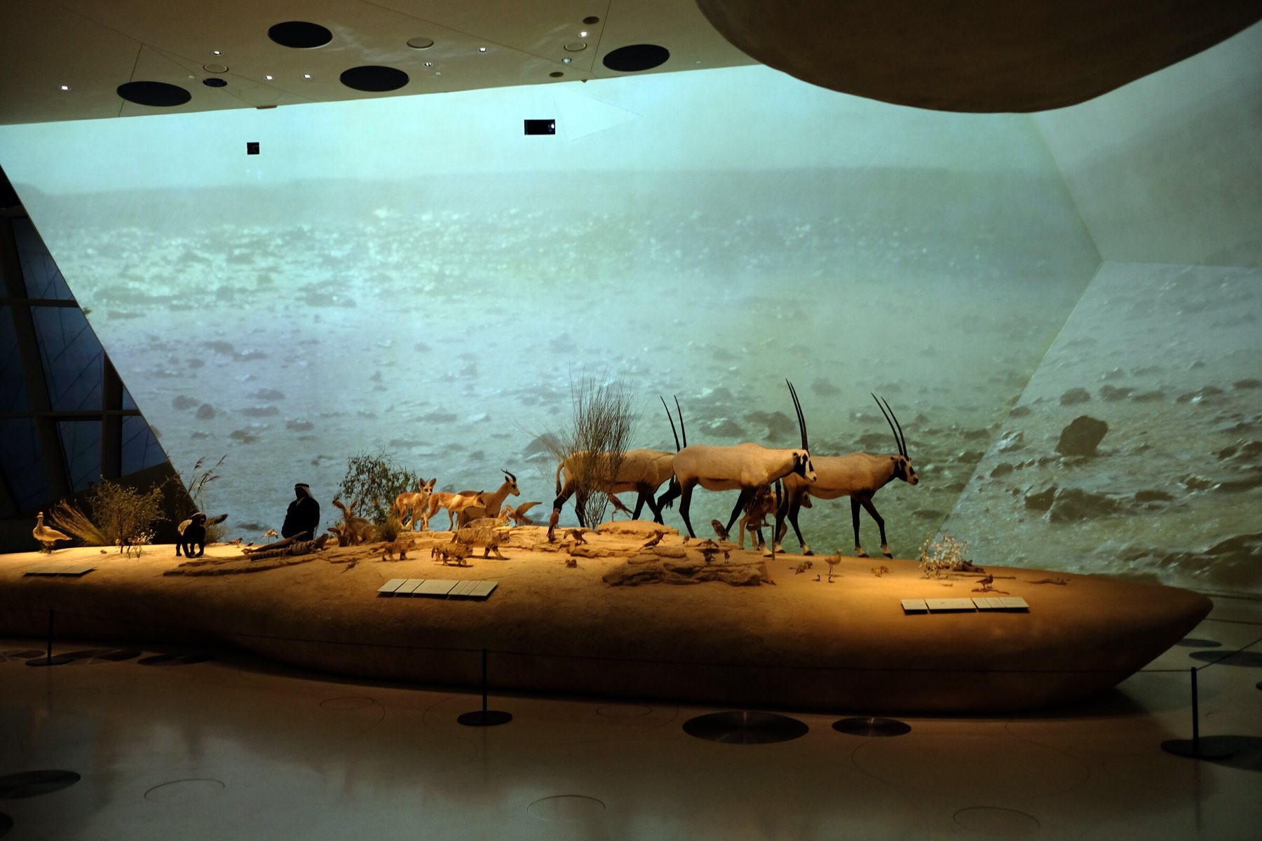 Doha view 2