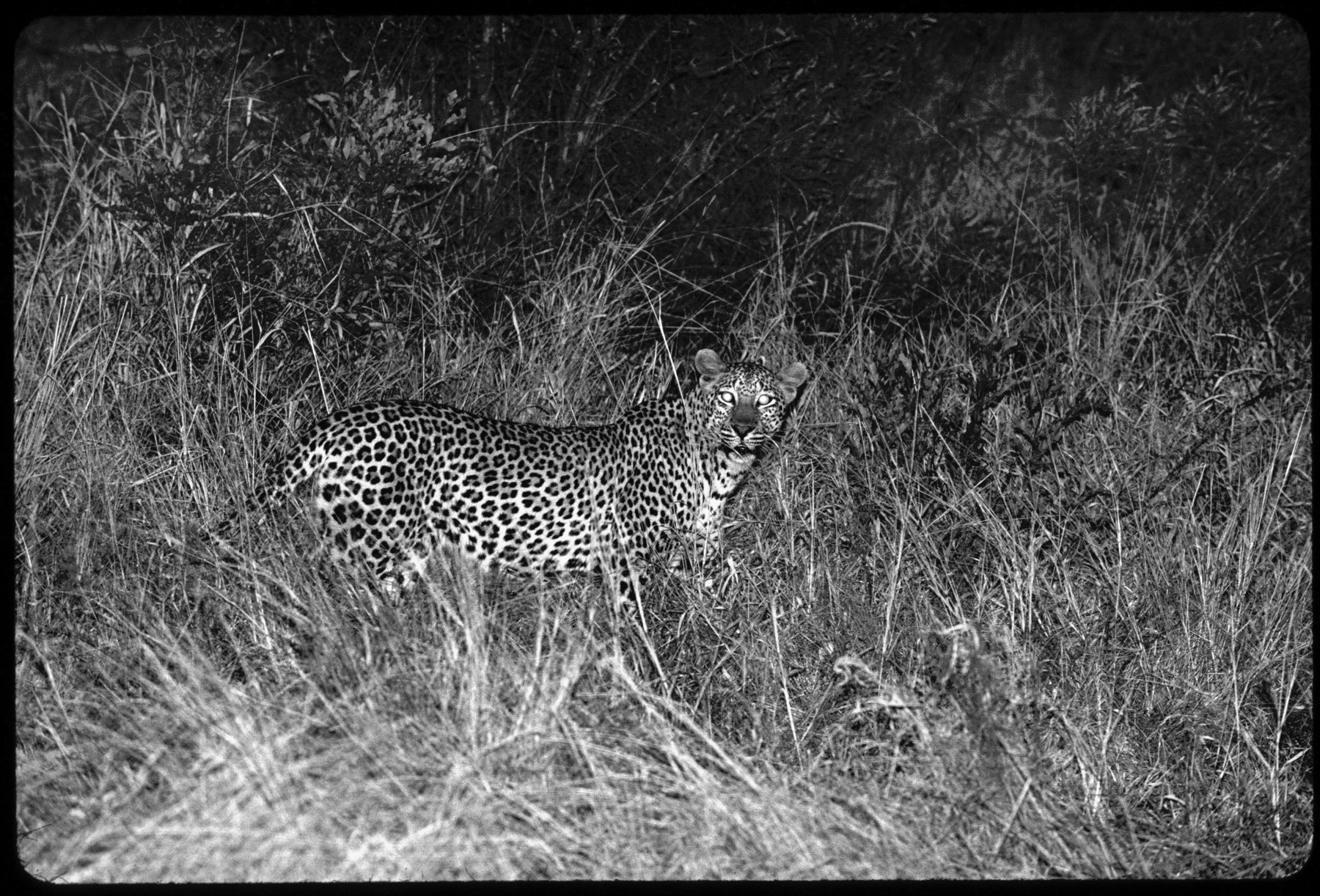 South Africa view 3