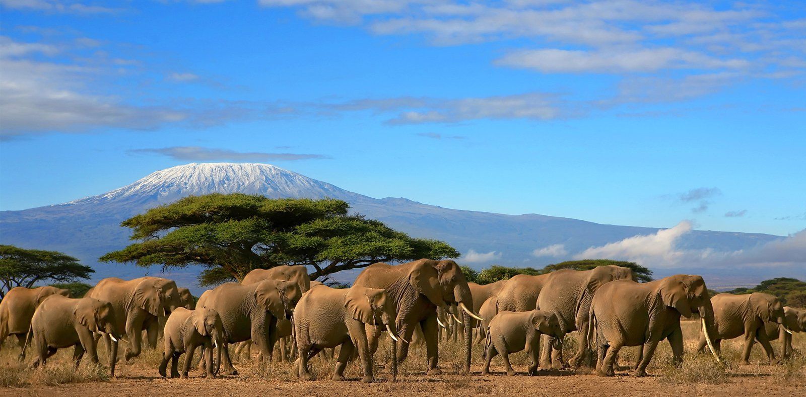 Tanzania