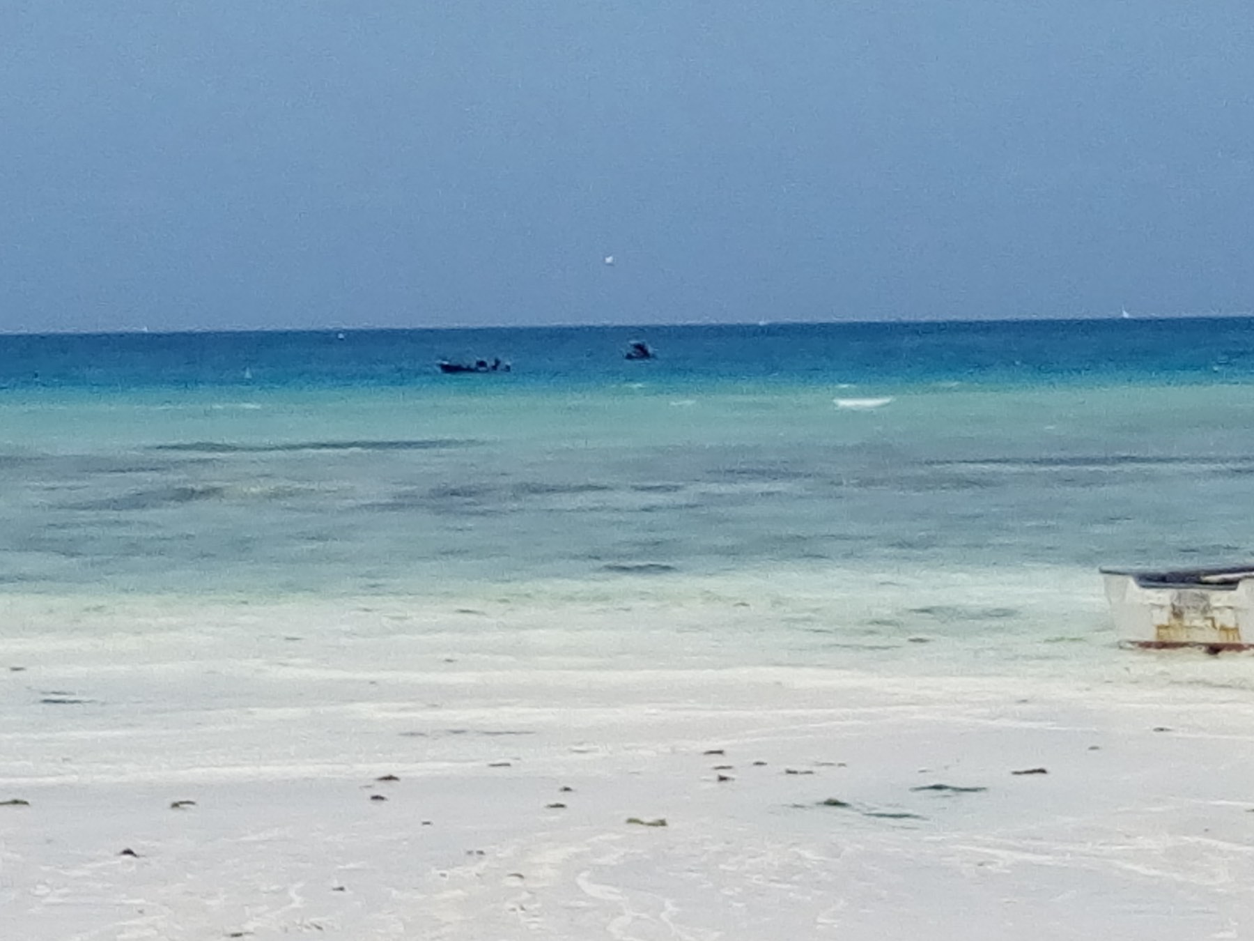 Zanzibar view 4